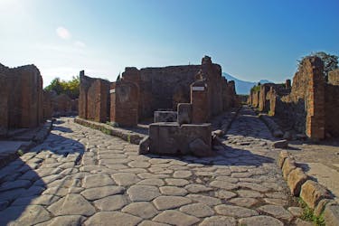 Pompeii Half-Day from Naples
